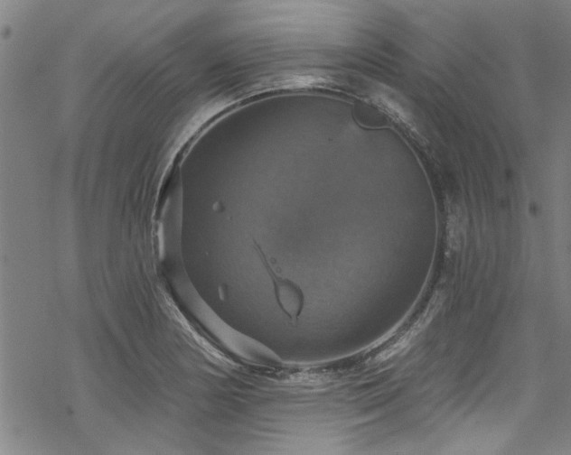 X0000068841178200605051254