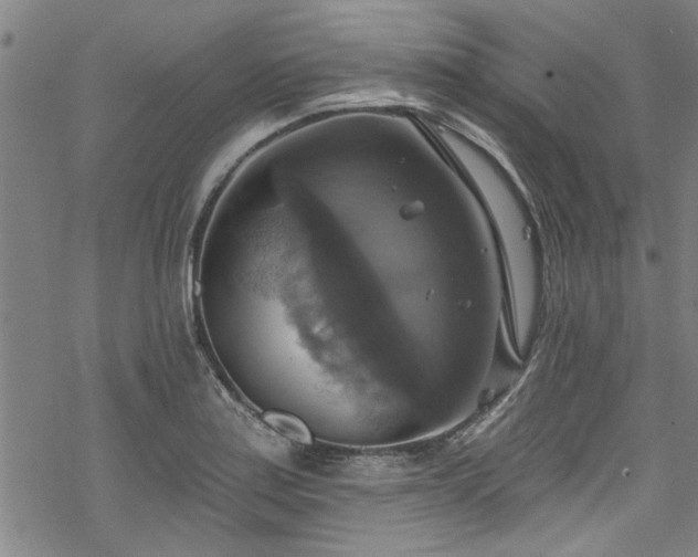 X0000068841179200605051254