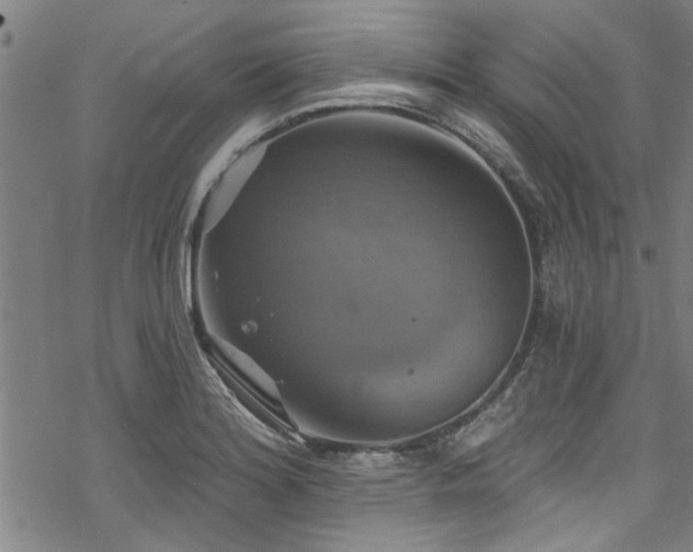 X0000068841180200605051254