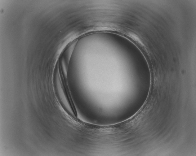 X0000068841181200605051254