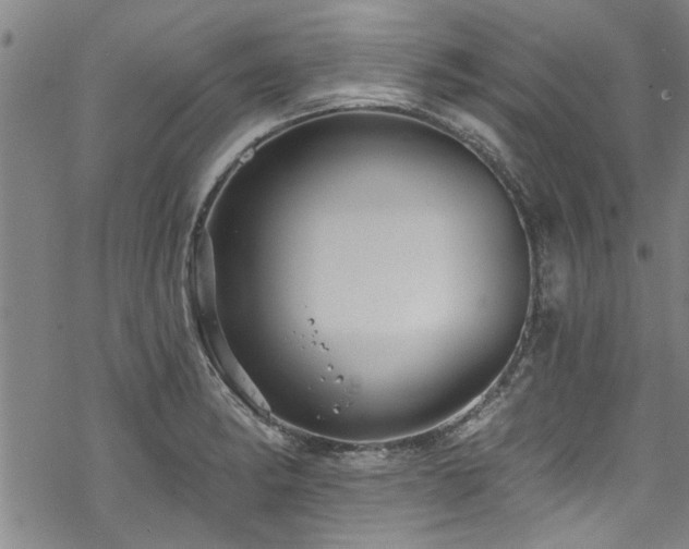 X0000068841182200605051254