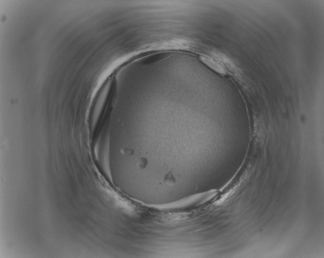 X0000068841184200605051254