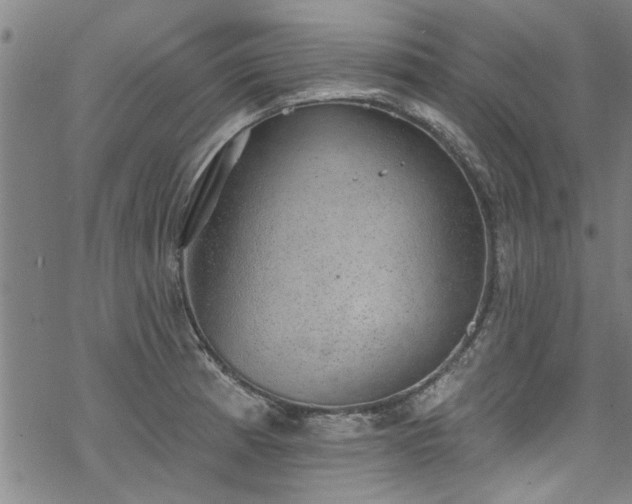 X0000068841185200605051254