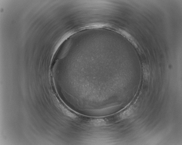 X0000068841186200605051254