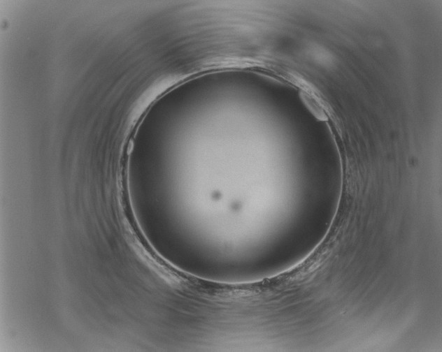 X0000068841187200605051254