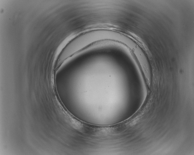 X0000068841188200605051254