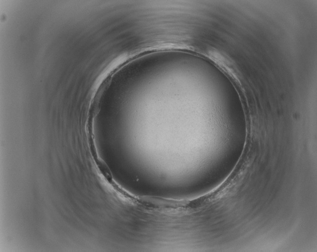 X0000068841189200605051254