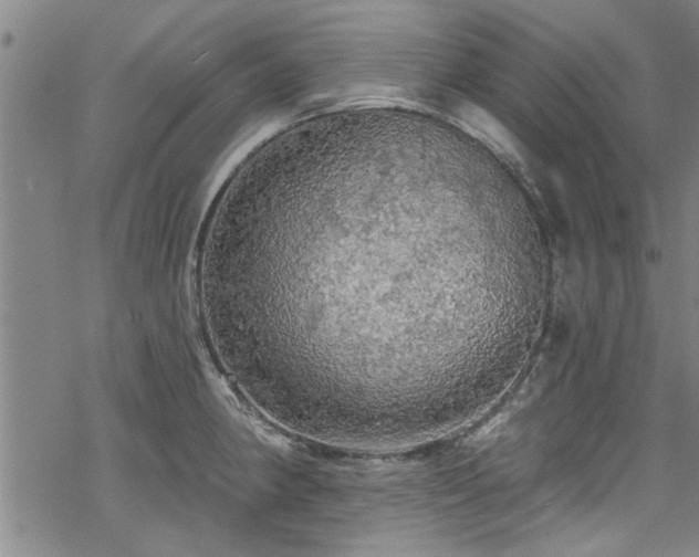 X0000068841190200605051254