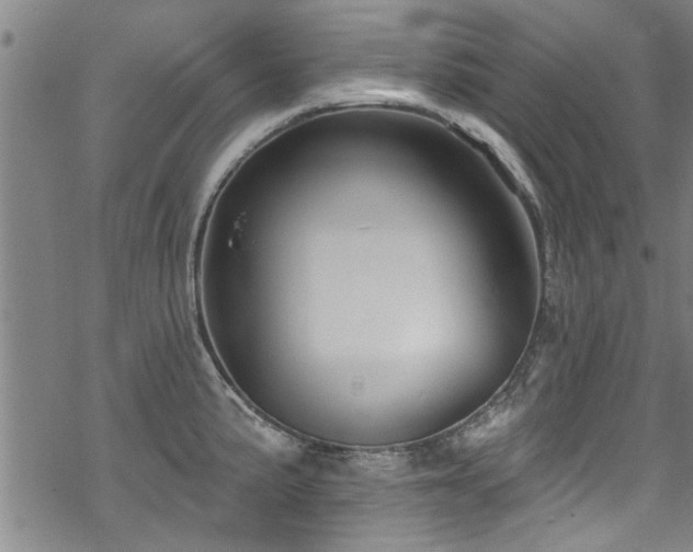 X0000068841191200605051254