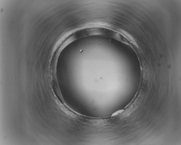 X0000068841192200605051254