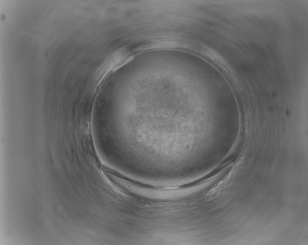 X0000068841193200605051254