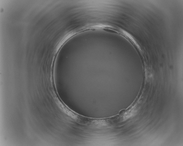 X0000068841194200605051254