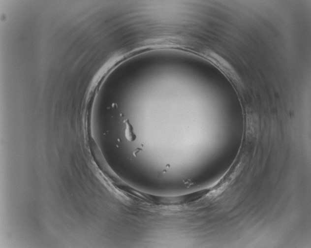 X0000068841196200605051254