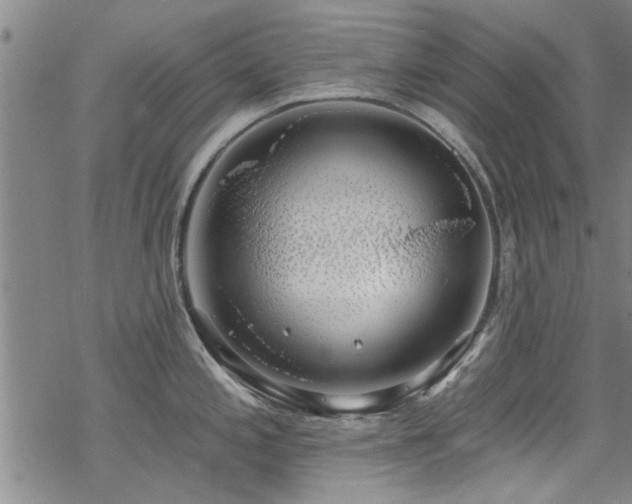 X0000068841197200605051254