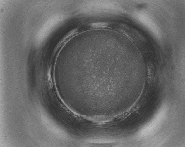 X0000068841198200605051254