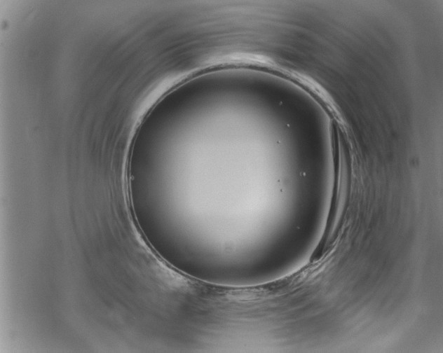 X0000068841199200605051254