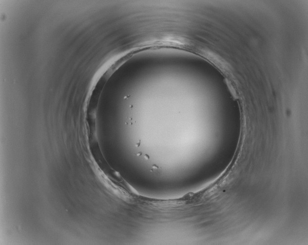 X0000068841200200605051254