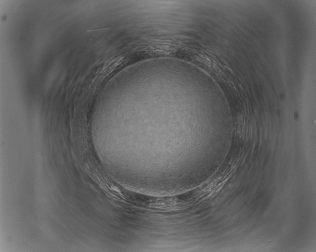 X0000068841201200605051253