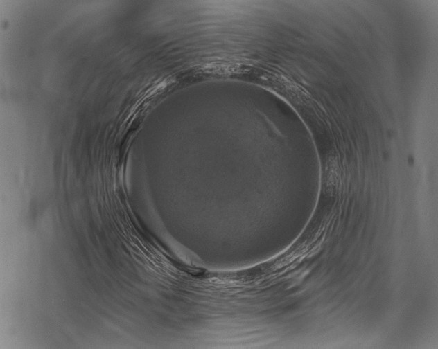 X0000068841202200605051253