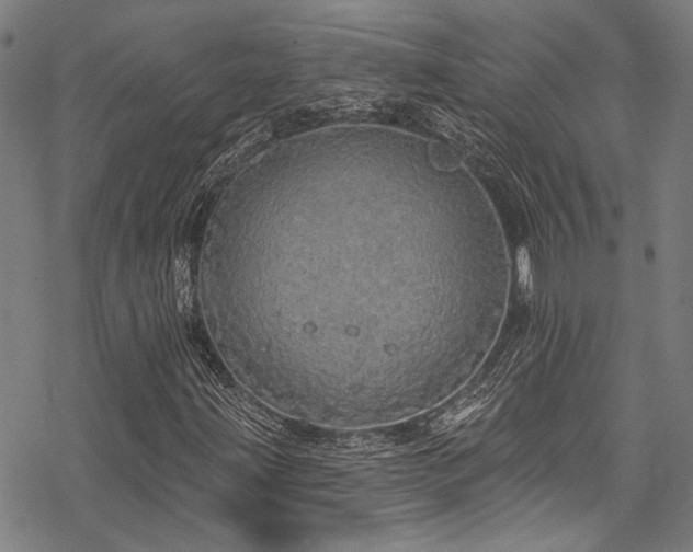 X0000068841203200605051253