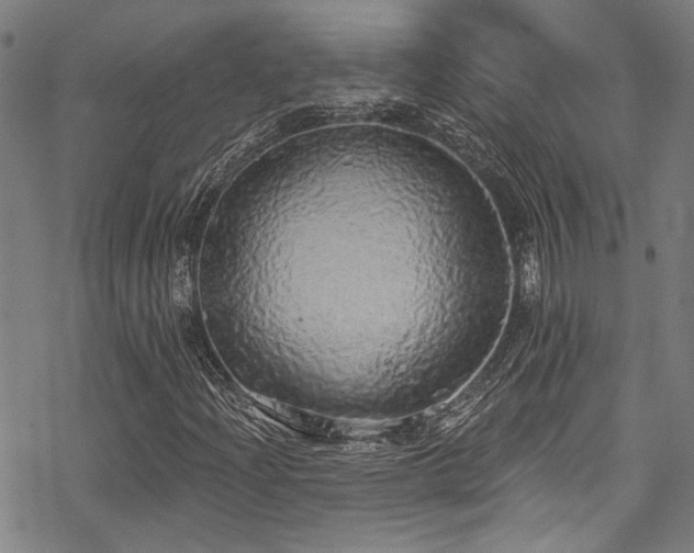 X0000068841204200605051253