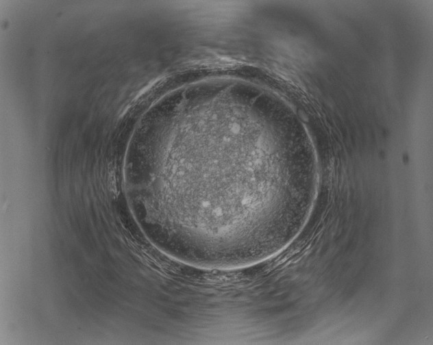 X0000068841205200605051253