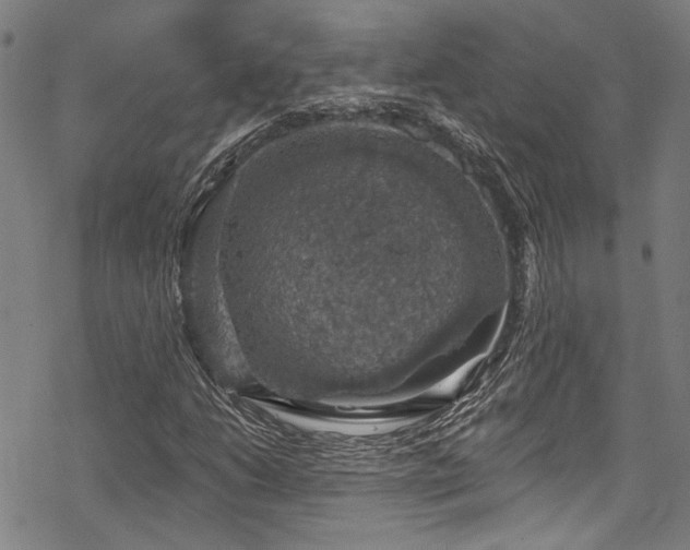 X0000068841206200605051253