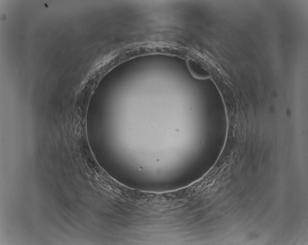 X0000068841207200605051253