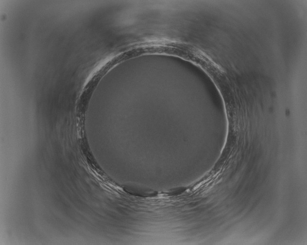 X0000068841208200605051253