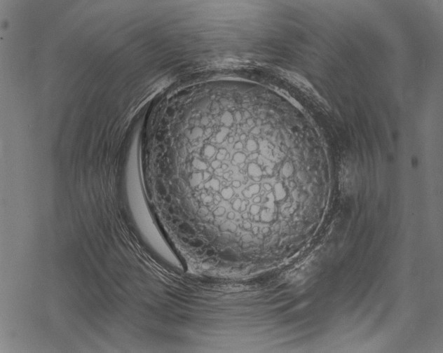 X0000068841209200605051253