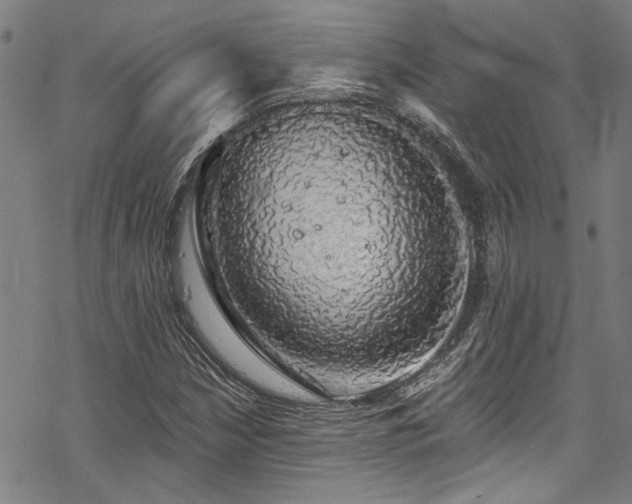 X0000068841210200605051253