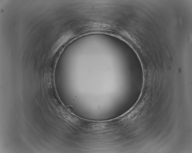 X0000068841211200605051253