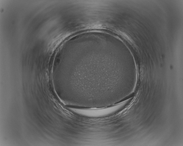 X0000068841212200605051253