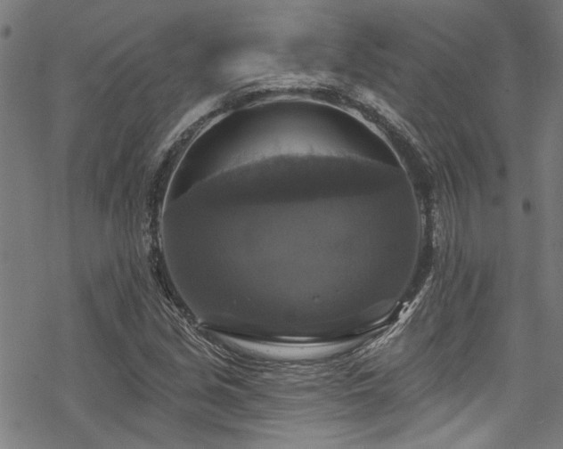 X0000068841213200605051253