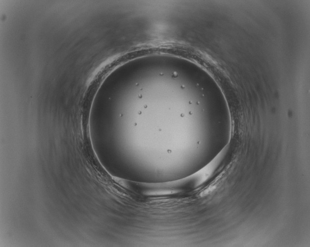 X0000068841214200605051253