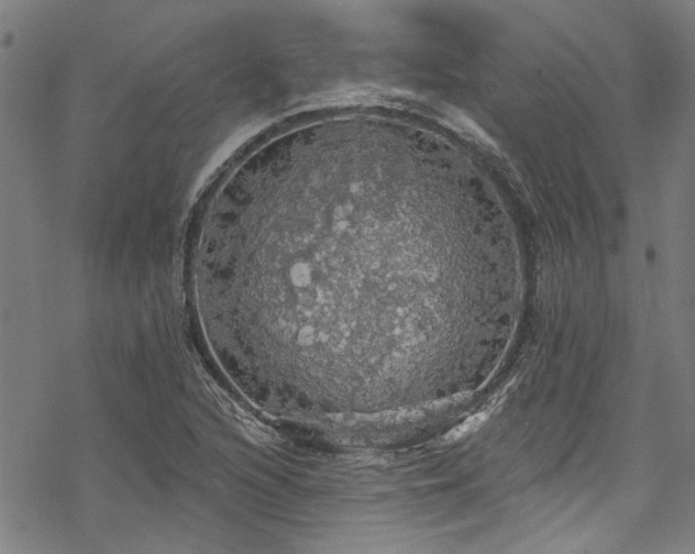 X0000068841216200605051253