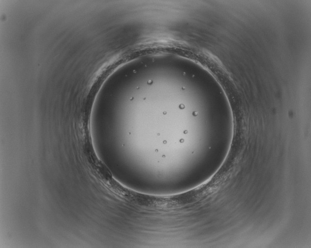 X0000068841218200605051253