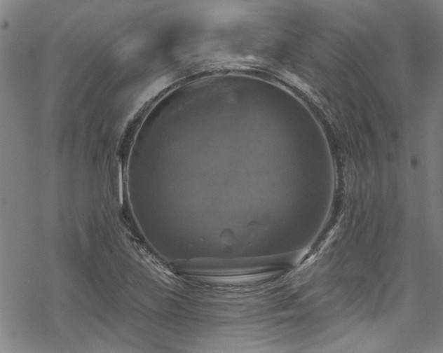 X0000068841219200605051253