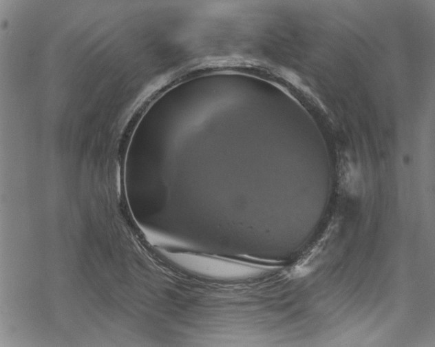 X0000068841221200605051253