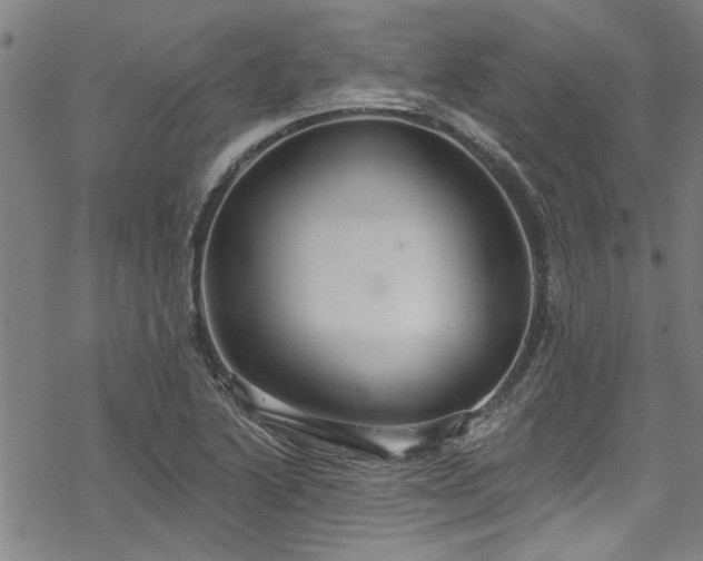 X0000068841222200605051253