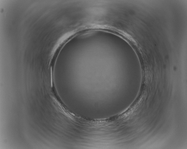 X0000068841223200605051253