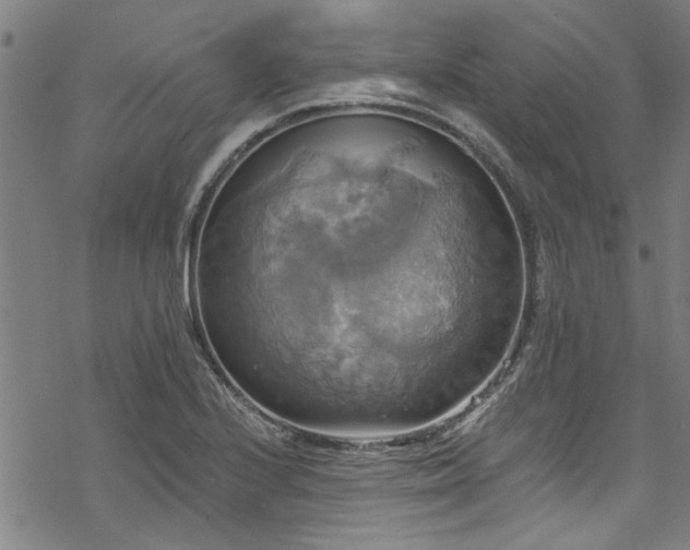 X0000068841224200605051253