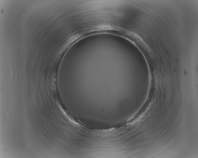 X0000068841225200605051253