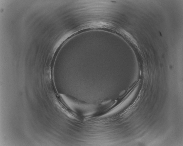 X0000068841226200605051253