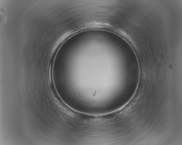 X0000068841227200605051253