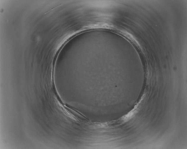 X0000068841228200605051253