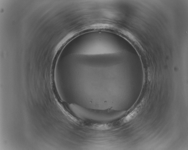 X0000068841229200605051253