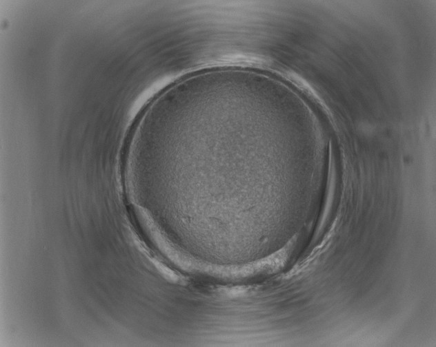 X0000068841230200605051253