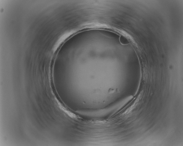 X0000068841231200605051253