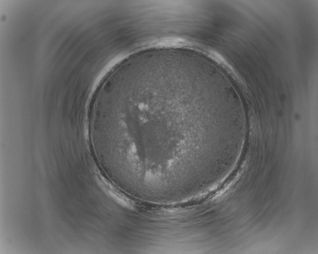 X0000068841232200605051253